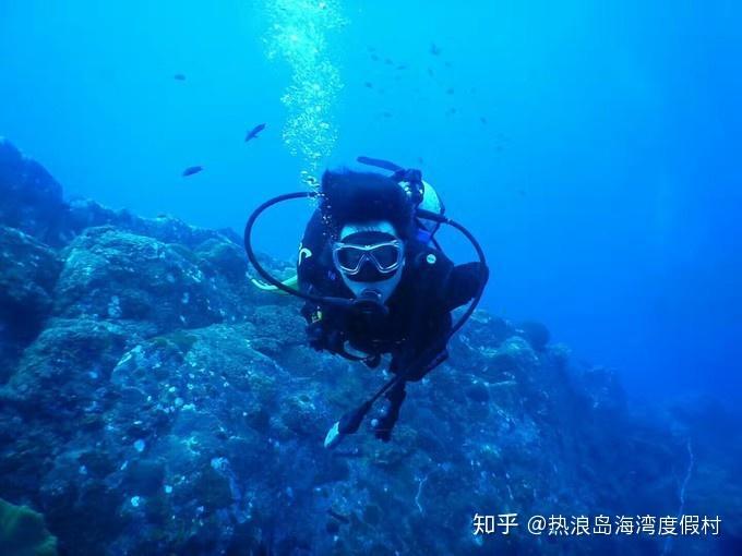 组装机械恐龙3